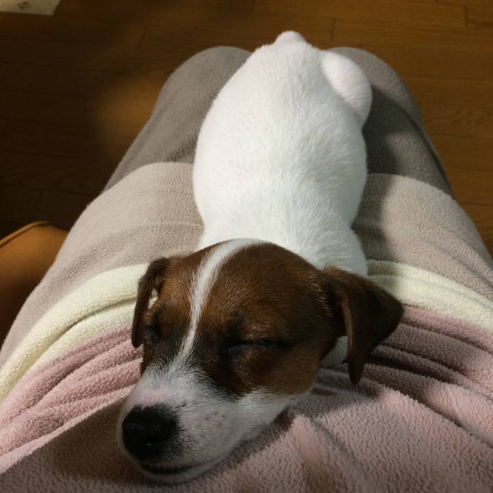 C5eafd4f 5c64 4163 aaab 6640ab08af58 1510227796993