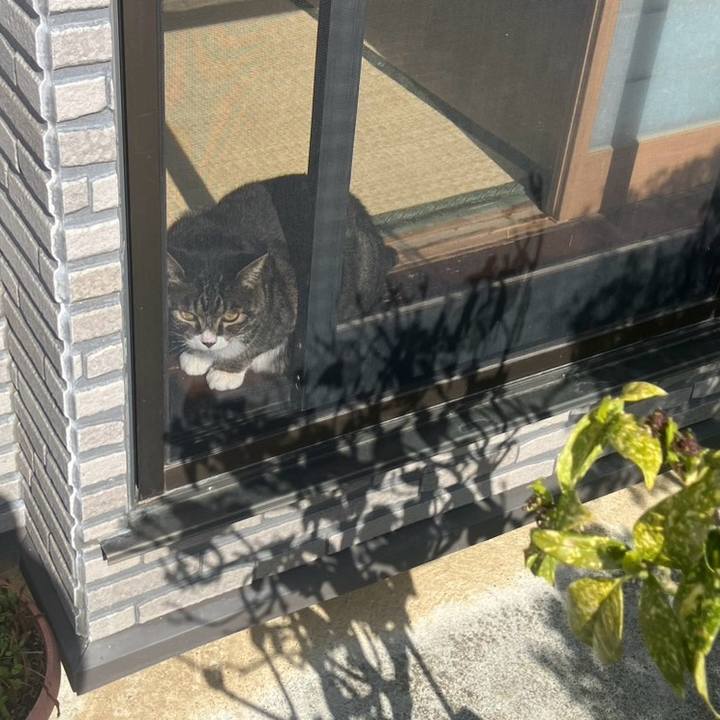 C5eb28cb dbcd 48f1 b02e f8ff3869c79c 1777072030174