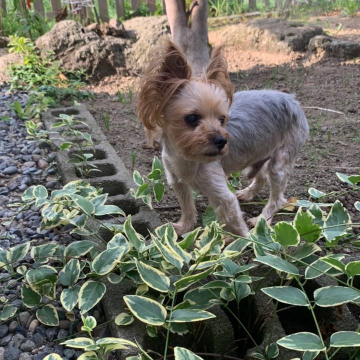 C5eb531c 4218 4767 9b39 76b168170a35 1630487752032