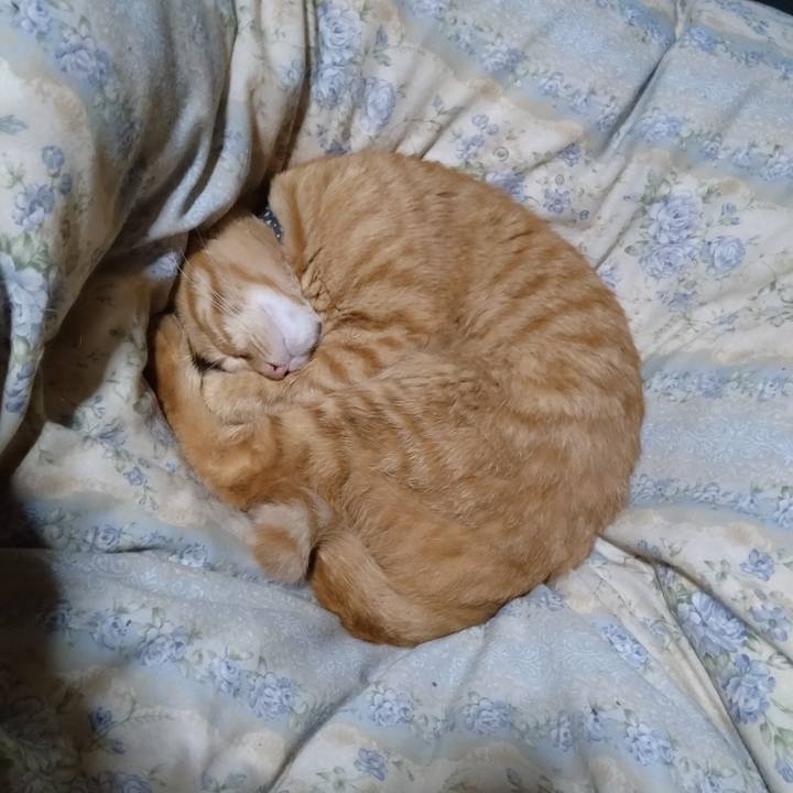 C5eb6f9e f4e5 40ca b602 e439e7e55b35 1666008216782