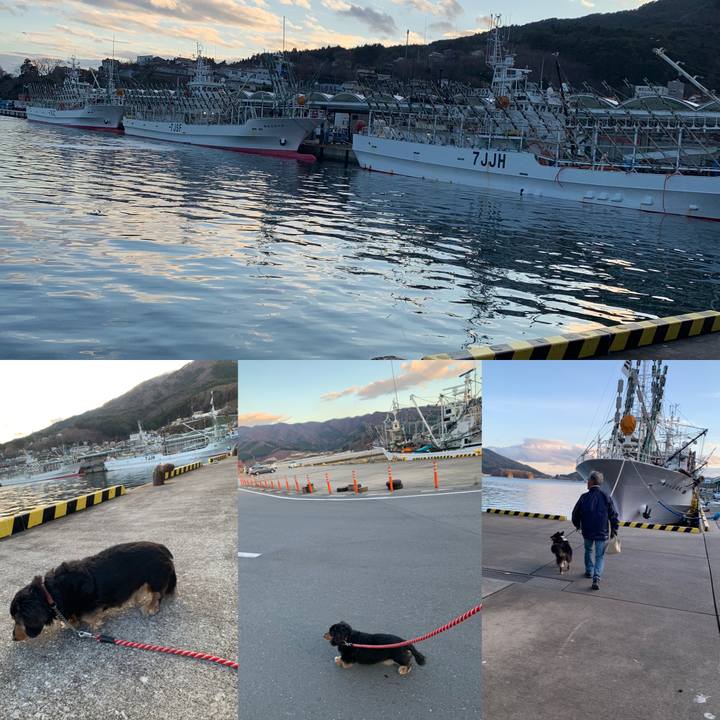 C5eb7c55 2ab9 4eb2 b992 d2245412313c 1606641080871