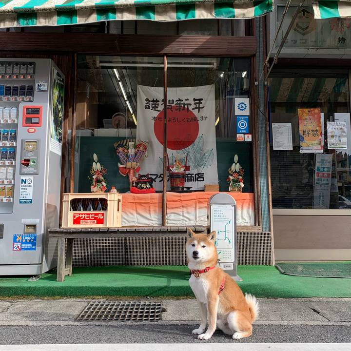 C5eba75f 0417 4002 a09e e8c81fccef4d 1609490724184