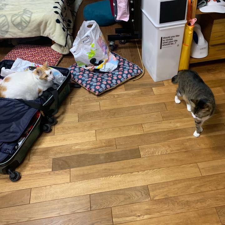 C5ebafda 2753 4714 9ce7 70f2f40f5074 1582383341281