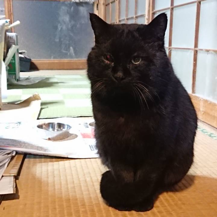 C5ec4a0e 47ad 4a05 89e7 223dcd9130f1 1615379182235