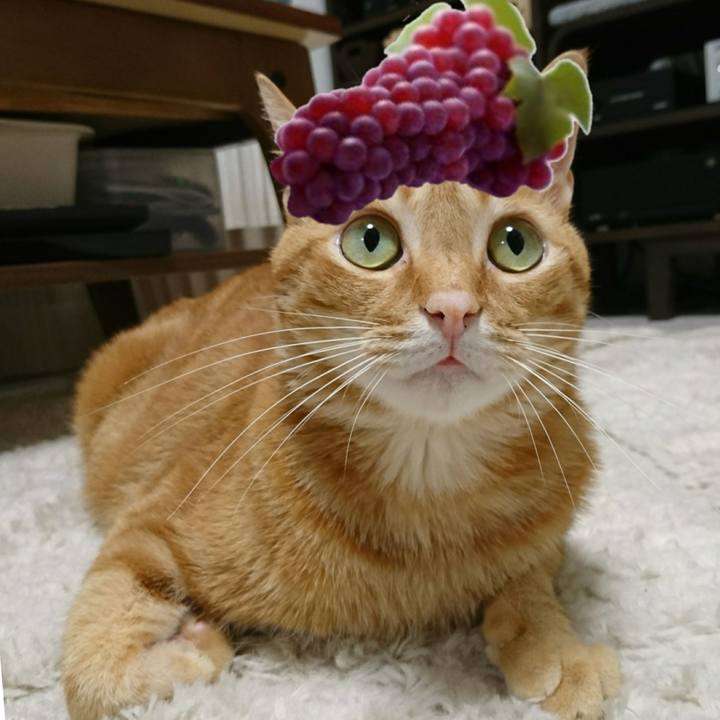 C5ec91e3 ab07 433e 8176 343e89a13a1d 1528803339862