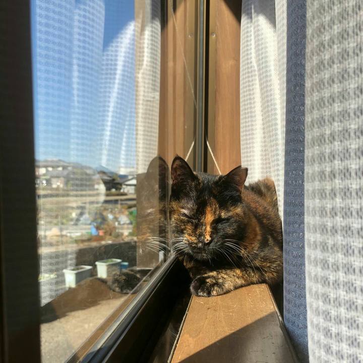 C5ecaa56 fd97 486e 9030 2f9086350331 1613108770261