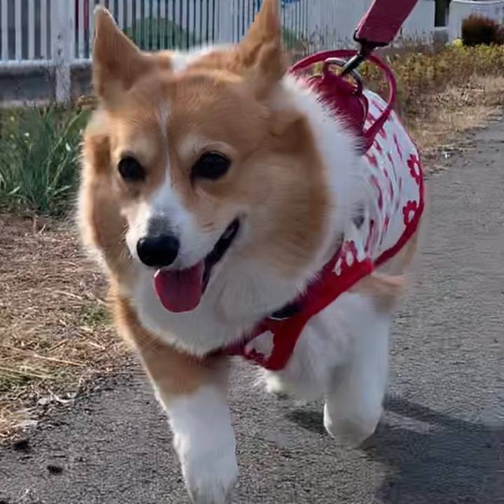 C5ece8b4 9b9c 4b3f ac27 10b5f84cc464 1675400161393