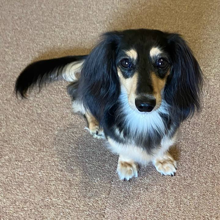 C5ecf0cf 6fb3 4590 bac8 aa39b97c93c7 1759710857330