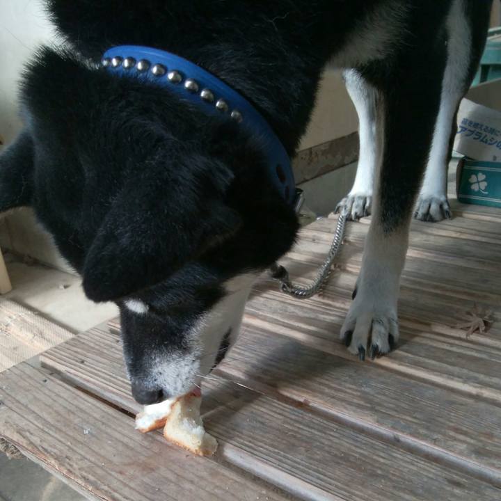 C5ed047b 61ec 4ad8 b73c de46c00c8173 1512260252275