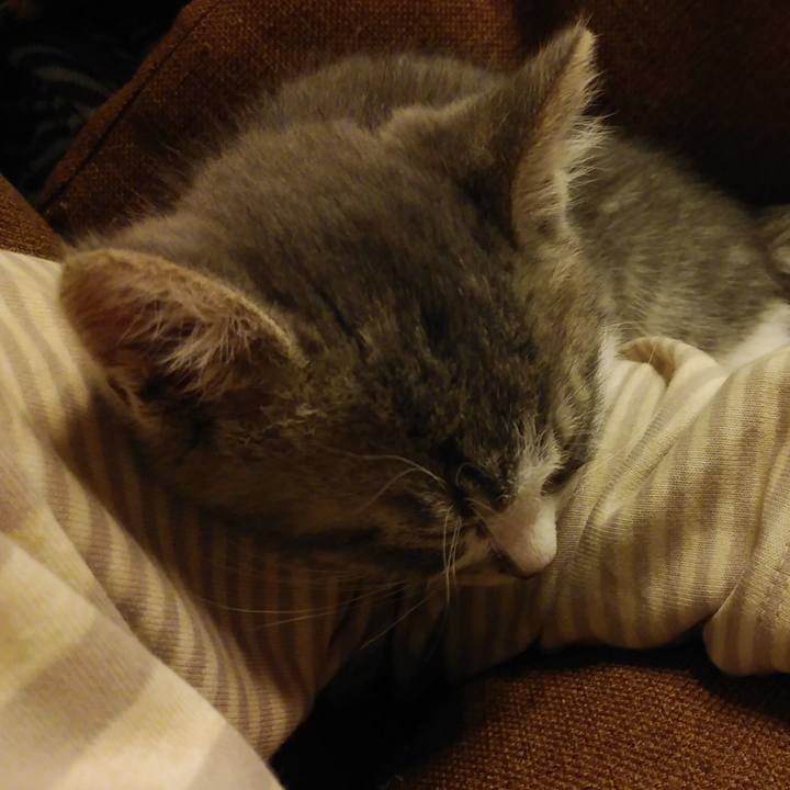 C5ed44ee 0fb6 4e2c a01c 71a361ff1461 1561132131349