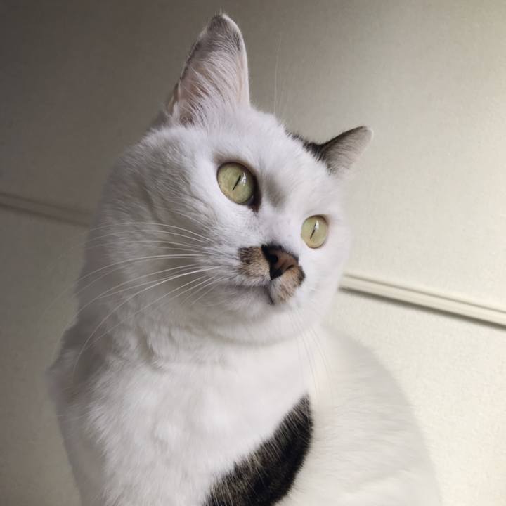 C5ed50d4 fde2 4f60 9fed ec0b1c7cbf68 1541045151480