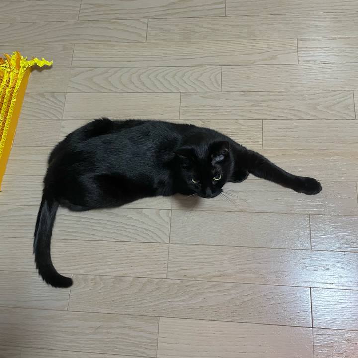 C5ed584c e0df 4f2d 880f 79c267a44b60 1744720893597