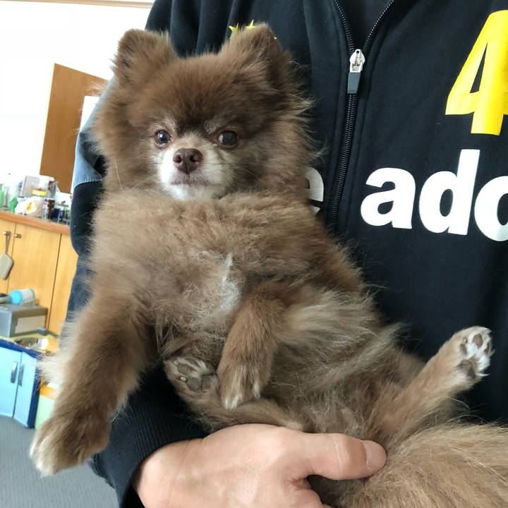 C5ed6bdb 2219 4209 a2af b70fc20d7a94 1557523212670