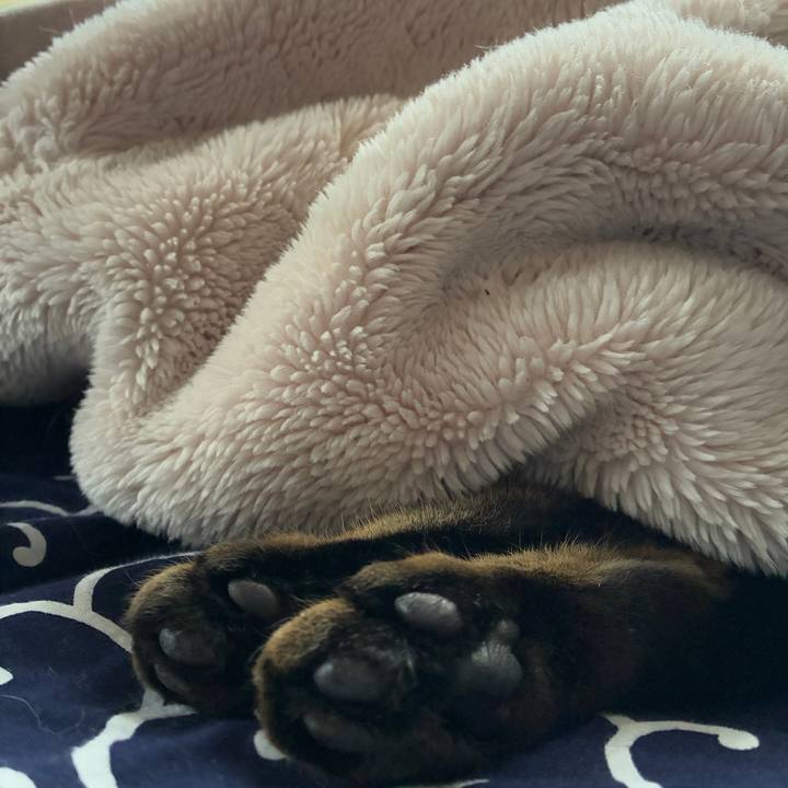 C5edbdd2 bee9 437d a8dc c3ba2d0e3865 1766791875343