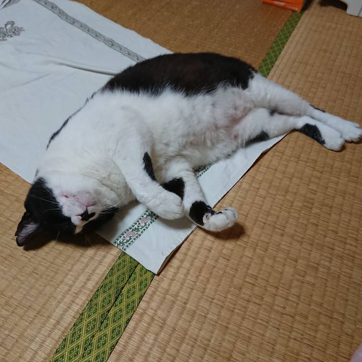 C5edbfde 474f 4ce9 99a3 4e24689d3a7b 1569713930915