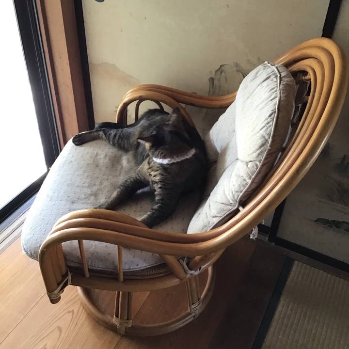 C5edcc96 374d 4b21 88fa 91962c8c5ea6 1756535804612