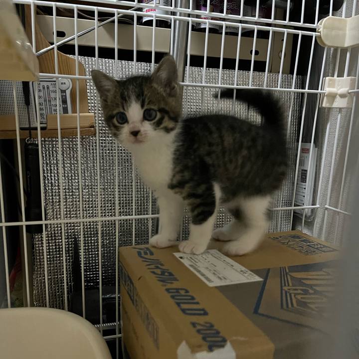 C5ee34f8 a894 4e76 9396 8146b9d6fe9d 1764279833419