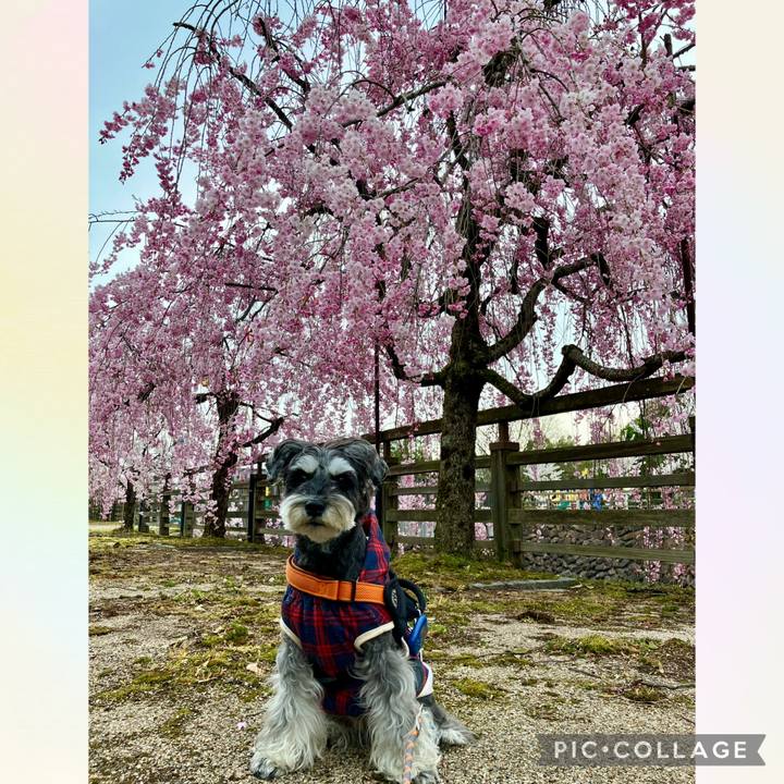 C5ee40e6 4f1d 4f5c 9795 8abe70c5bc45 1744554065146