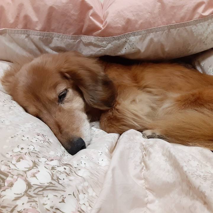 C5ee5063 0031 4c5d 9496 78905808031e 1638798067329