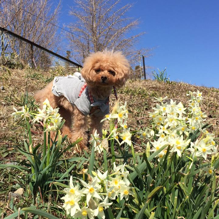 C5ee548b c58a 40da 8dbc 1843dddbfd0d 1519882877816