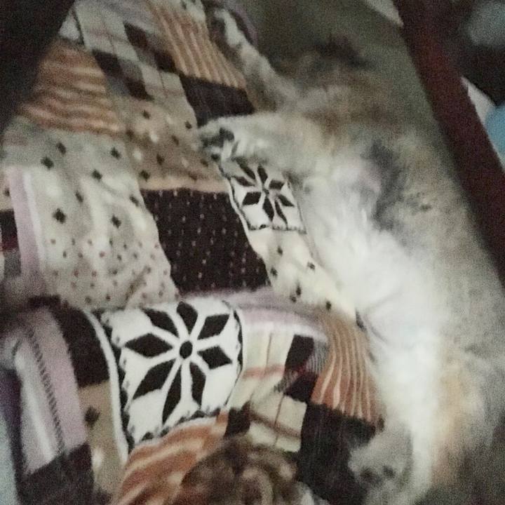 C5ee8833 6b6f 4625 ae90 7e8840f2165c 1563178525494