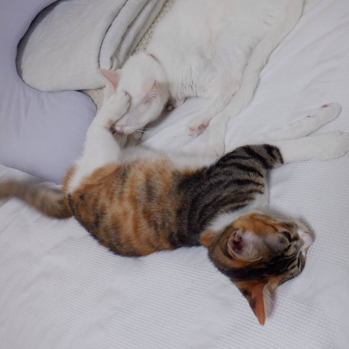 C5ee9c7c 8ae3 4cb6 a922 8587082b070b 1633482134204