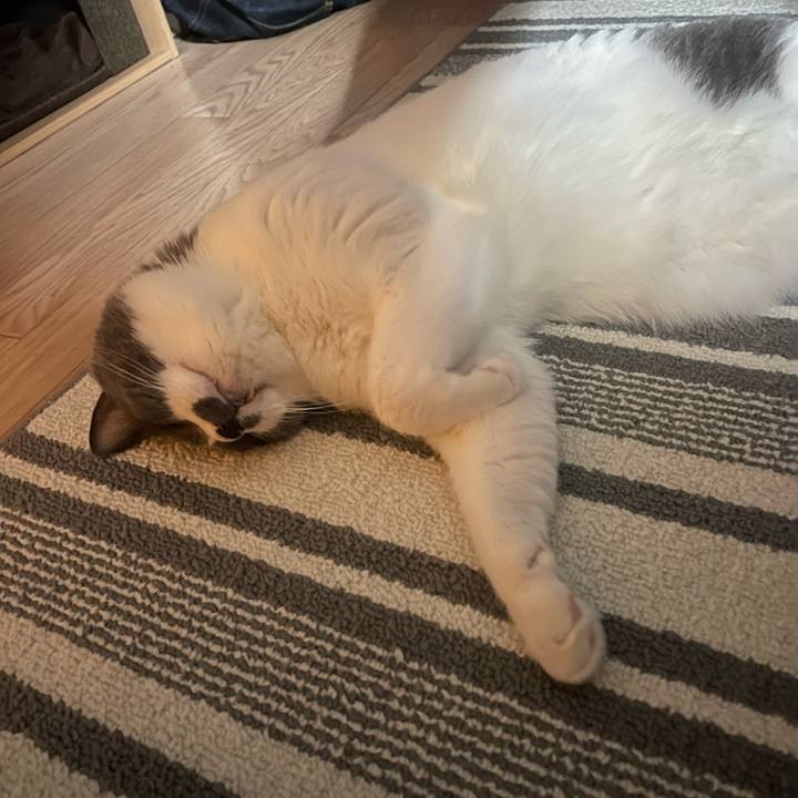 C5eeecda a5b3 48e4 9977 25a8c0812b82 1755253619359