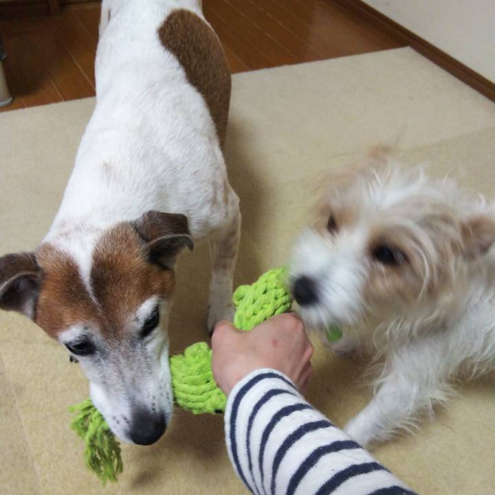 C5eef3df f9f3 41a8 bb99 a777c4922cb6 1526192856237