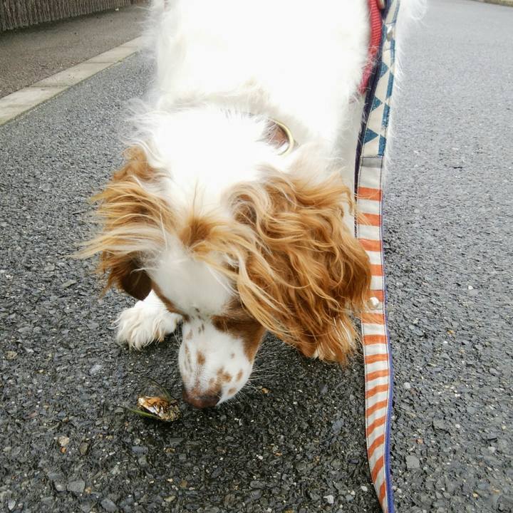 C5eef747 9f77 4426 b4e0 2ba5e7b85785 1563588205776