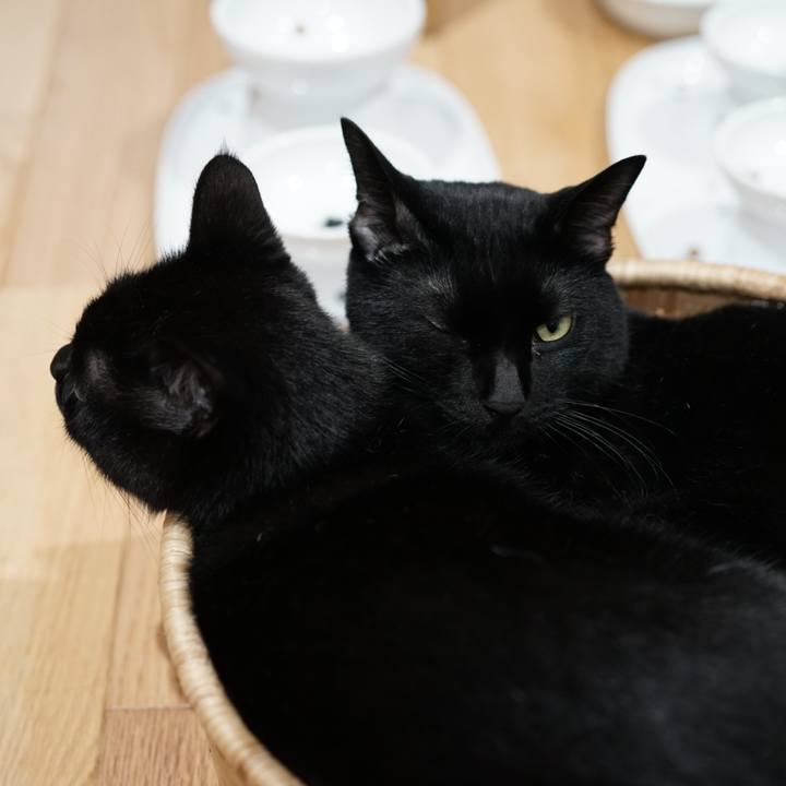 C5ef05b6 53aa 4e52 8a70 8f6b0e30e41f 1566171512421