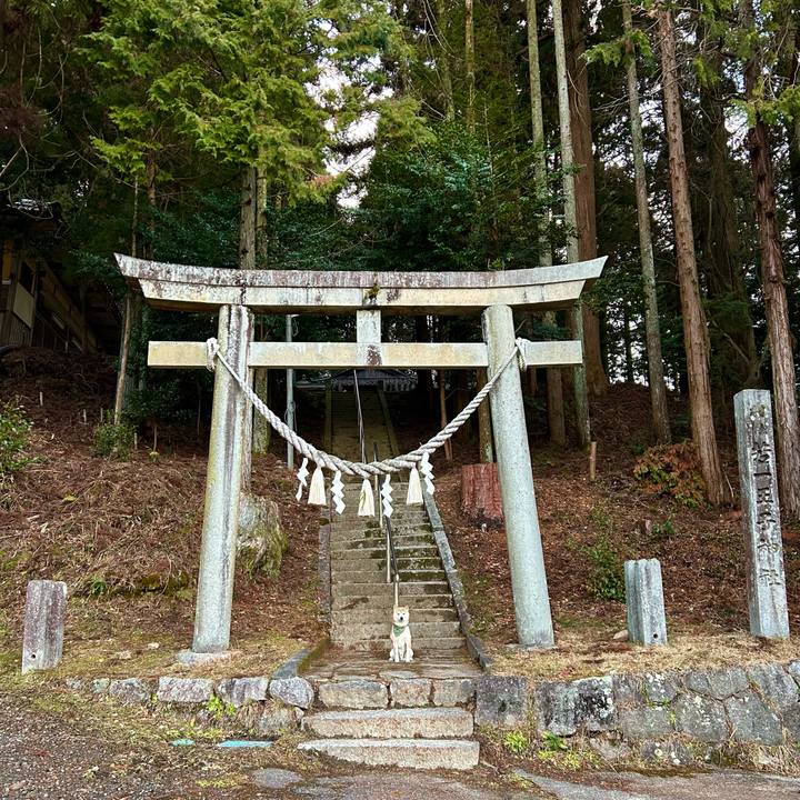 C5ef1396 cf89 4c75 ad8e 2eaef285bf57 1707216057056