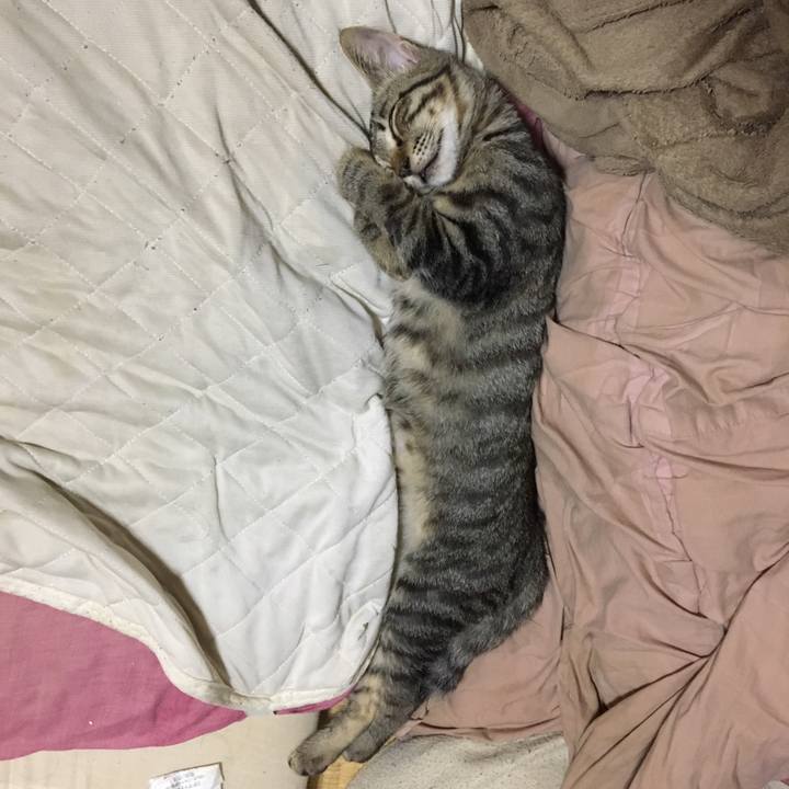 C5ef37b5 9a7c 431a b41e 68d17c01cfbb 1537782070139