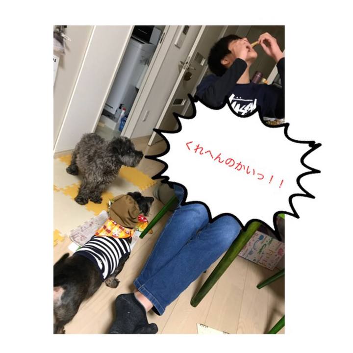 C5ef464d 187d 4166 bc02 36de3524acde 1511006855672