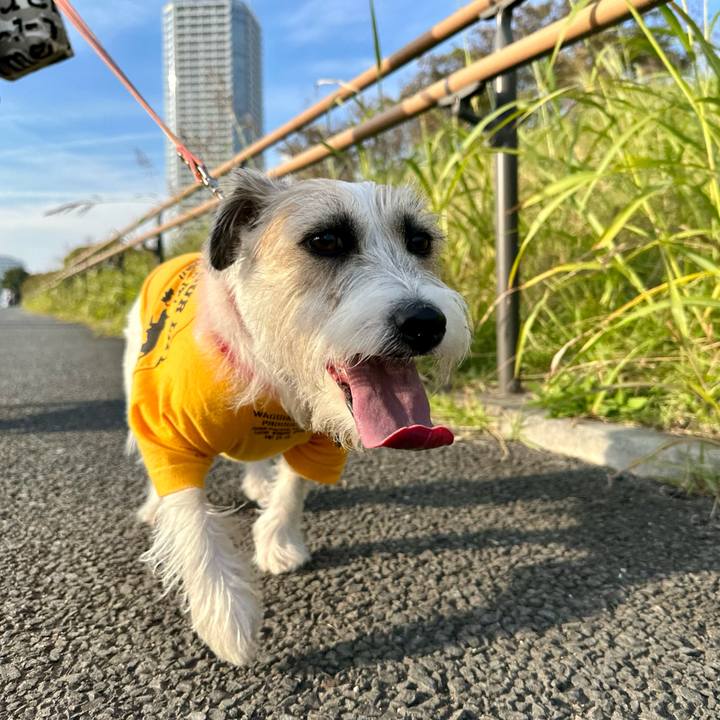 C5ef48d2 9dad 4b63 affe eeb1fda7c2d2 1699101341866