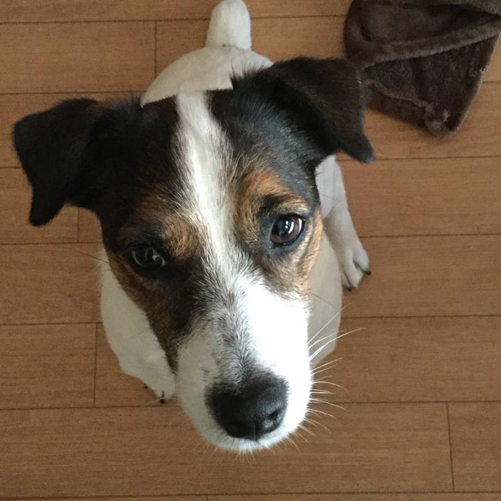 C5ef57e2 77d8 474d a3d1 58de6840bfee 1540797095419