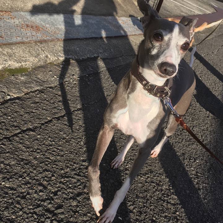 C5ef5cad 79d7 4c9d ad33 cacd48dde9fd 1514965617502