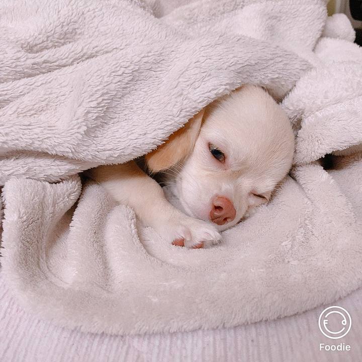 C5ef820d f81e 4830 8290 96ba6a3762e3 1600046882828