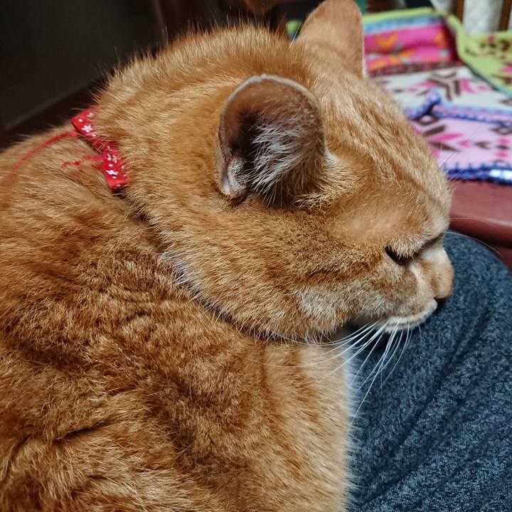 C5ef8ac4 1c1e 429e b258 de31c5af9428 1579727089064