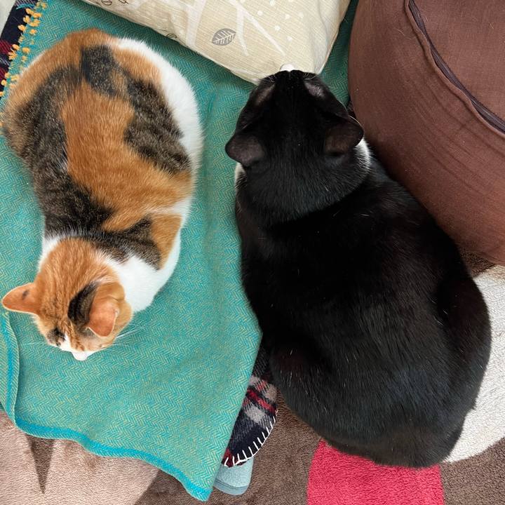 C5ef939a c64f 4e94 b395 1d9e41d6906f 1768861754348