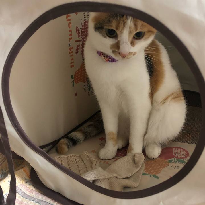 C5ef98eb f356 4e9c aa64 bf16ecbdf35e 1601548741435