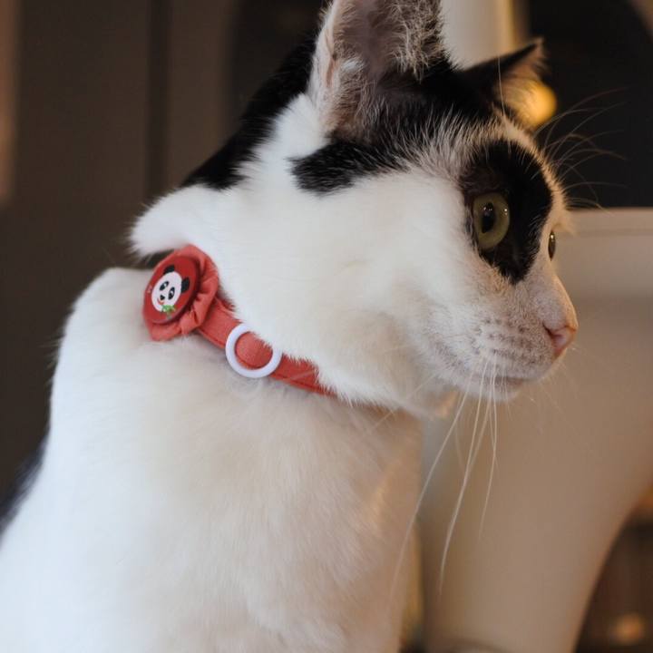 C5efa2d3 bc55 4bb7 a2bc 6b42928f9b7a 1524470590210