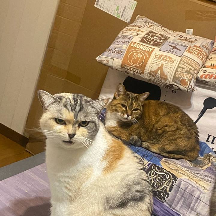 C5efc216 eeb7 47a8 8b70 595baf5185e1 1673016715723