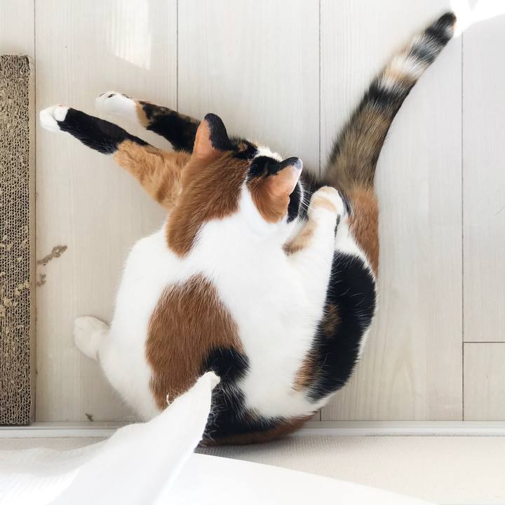 C5eff504 1aac 41a7 93a5 1970034c14fc 1520998554326