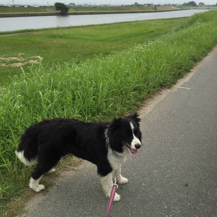 C5eff52b e120 42c7 a969 f8531d279a92 1528586502920