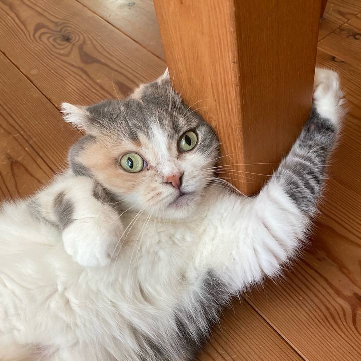 C5f00d18 3bbf 422a 8566 2aa7a8bf995b 1632266067219