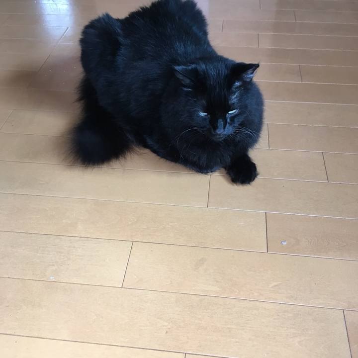 C5f02d91 e02c 41f2 8740 30f19a2d8773 1535757189488