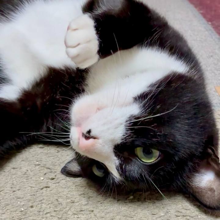 C5f03531 4d0c 4586 b052 14b592a3c87e 1748924887088