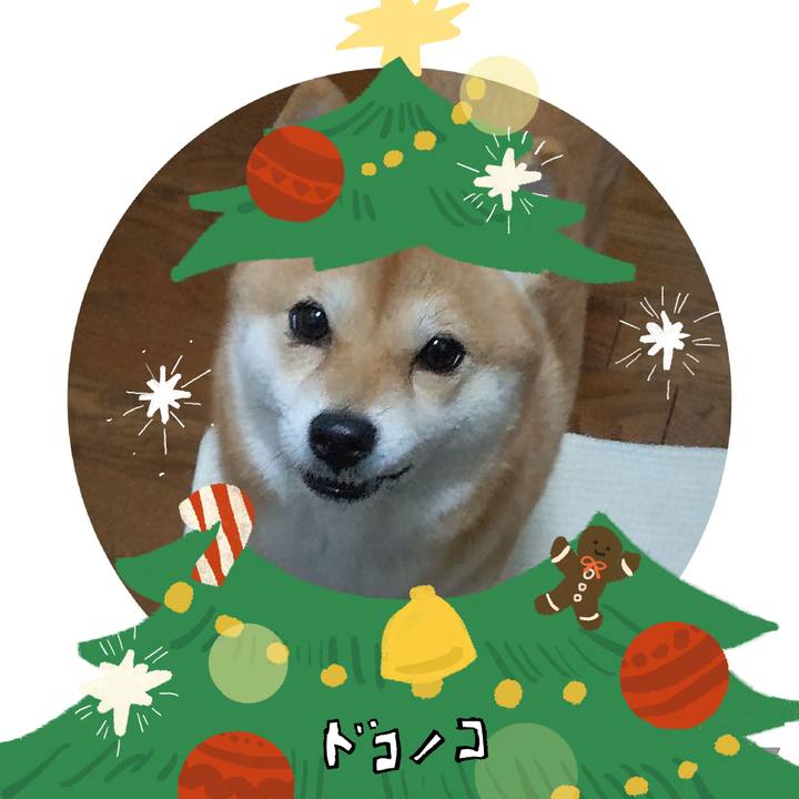 C5f04d80 1e3d 43c0 acf2 47d576e13b81 1761113116436