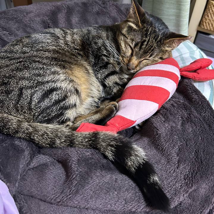 C5f08d41 2422 4d9a 887f 810b9211609a 1748428914949