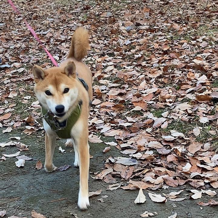 C5f0a84c 67bb 40b9 ae5d a652fb0ef567 1673393139153